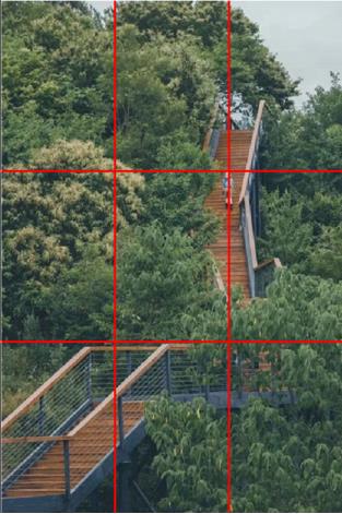 1664414285170599.jpg 8c700833a4cf8533c9bf91f8ca49ba4.jpg